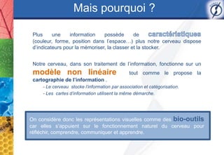 Mais pourquoi ?

 Plus     une    information    possède       de
 (couleur, forme, position dans l’espace…) plus notre cerveau dispose
 d’indicateurs pour la mémoriser, la classer et la stocker.


 Notre cerveau, dans son traitement de l’information, fonctionne sur un
 modèle non linéaire                            tout comme le propose la
 cartographie de l’information .
     - Le cerveau stocke l’information par association et catégorisation.
     - Les cartes d’information utilisent la même démarche.




On considère donc les représentations visuelles comme des bio-outils
car elles s’appuient sur le fonctionnement naturel du cerveau pour
réﬂéchir, comprendre, communiquer et apprendre.
 