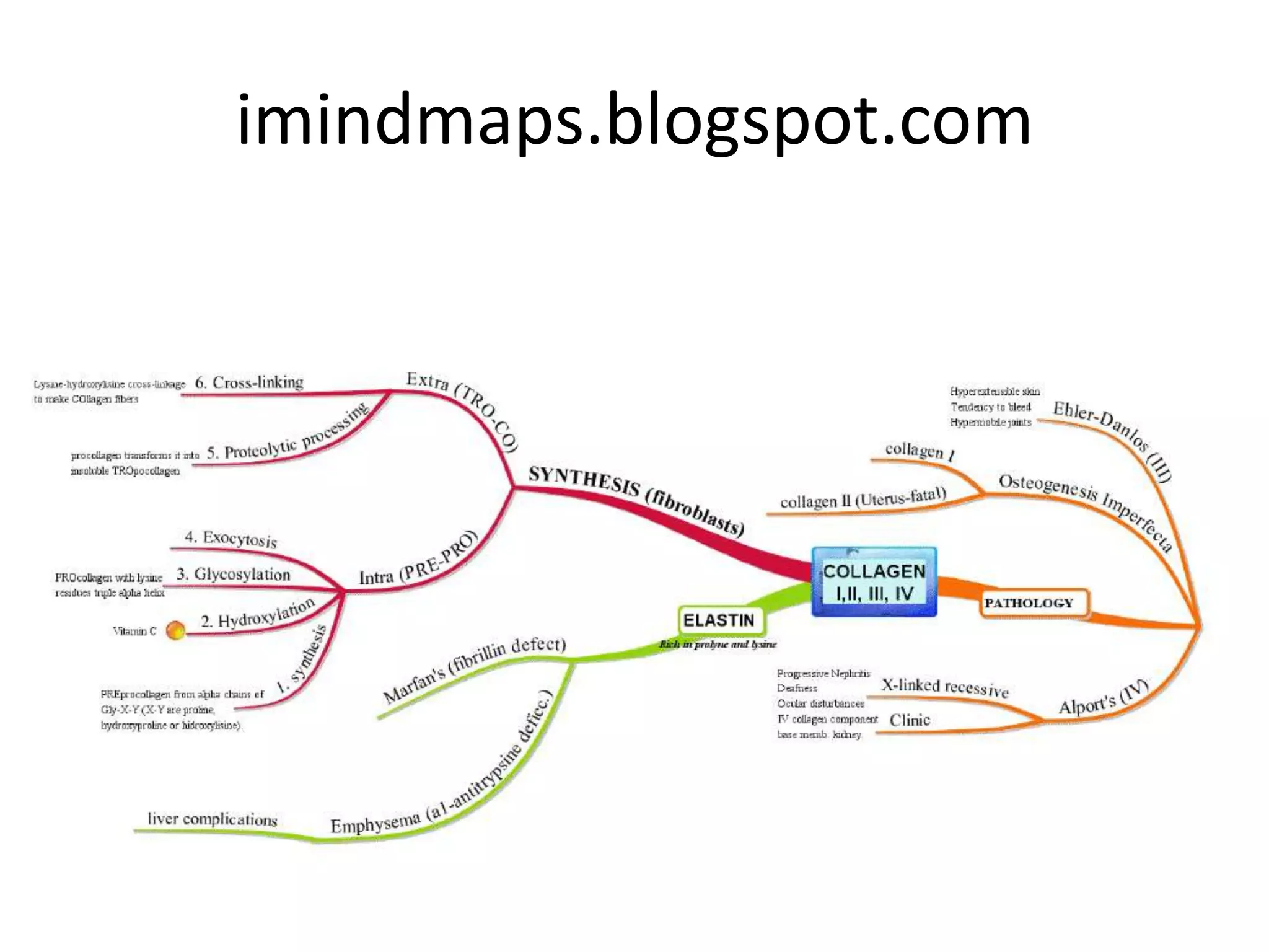 imindmaps.blogspot.com
 