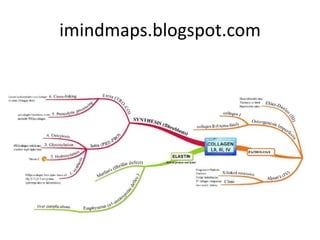 Mindmapping for Medical Students Slide 75