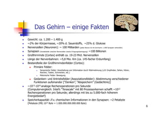 Das Gehirn – einige Fakten
Gewicht: ca. 1.200 – 1.400 g
~2% der Körpermasse, ~20% d. Sauerstoffs, ~25% d. Glukose
Nervenzellen (Neuronen): ~ 100 Milliarden (jedes Neuron ist mit durchschn. 1.000 Synapsen verbunden)
Synapsen (Kontaktstelle zwischen Nervenzellen zwecks Erregungsübertragung): ~100 Billionen
Großhirnrinde (Cortex) enthält ca. 19-23 Mrd. Nervenzellen
Länge der Nervenbahnen: ~5,8 Mio. Km (ca. 145-facher Erdumfang)
Bestandteile der Großhirnrindenfelder (Cortex):
     Primäre Felder:
            Sensorische Felder: Verarbeitung von Information durch Wahrnehmung (z.B. Empfinden, Sehen, Hören,
            Riechen, Tasten, Schmecken, etc.)
            Motorische Felder: Bewegung
     Gedanken- und Antriebsfelder (Assoziationsfelder): Abstimmung verschiedener
     Funktionen aufeinander [“Denken”, “Abspeichern” (Gedächtnis)]
~1013-1016 analoge Rechenoperationen pro Sekunde
(Computervergleich: Intel’s “Terascale” mit 80 Prozessorkernen schafft ~1012
Rechenoperationen pro Sekunde; allerdings mit bis zu 5.000-fach höherem
Energiebedarf)
Speicherkapazität i.F.v. chemischen Informationen in den Synapsen: ~2 Petabyte
(Petabyte (PB) 1015 Byte = 1.000.000.000.000.000 Byte)
                                                                                                                6
 