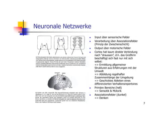 Neuronale Netzwerke
                      Input über sensorische Felder
                      Verarbeitung über Assoziationsfelder
                      (Prinzip der Zwischenschicht)
                      Output über motorische Felder
                      Cortex hat kaum direkte Verbindung
                      nach “draussen”, d.h. das Großhrin
                      beschäftigt sich fast nur mit sich
                      selbst:
                      => Ermittlung allgemeiner
                      Strukturen aus Erfahrungen mit der
                      Umwelt
                      => Abbildung regelhafter
                      Zusammenhänge der Umgebung
                      => Geschicktes Ableiten eines
                      differenzierten Verhaltensrepertoires
                      Primäre Bereiche (hell)
                      => Sensotik & Motorik
                      Assoziationsfelder (dunkel)
                      => Denken

                                                              7
 
