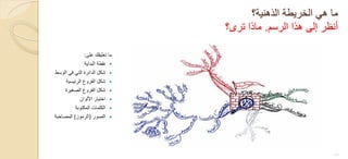 ‫الذهنٌة؟‬ ‫الخرٌطة‬ ً‫ه‬ ‫ما‬
‫الرسم‬ ‫هذا‬ ‫إلى‬ ‫أنظر‬.‫ترى؟‬ ‫ماذا‬
‫على‬ ‫تعلٌقك‬ ‫ما‬:
‫البداٌة‬ ‫نقطة‬
‫الوسط‬ ً‫ف‬ ً‫الت‬ ‫الدائرة‬ ‫شكل‬
‫الرئٌسٌة‬ ‫الفروع‬ ‫شكل‬
‫الصغٌرة‬ ‫الفروع‬ ‫شكل‬
‫األلوان‬ ‫اختٌار‬
‫المكتوبة‬ ‫الكلمات‬
‫الصور‬(‫الرموز‬)‫المصاحبة‬
15
 