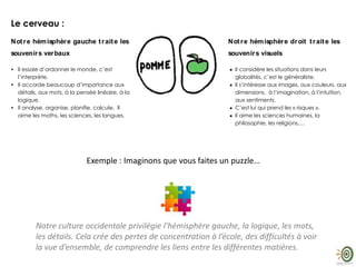 Le cerveau :
Notre hémisphère gauche traite les
souvenirs verbaux
• Il essaie d’ordonner le monde, c’est
l’interprète.
• Il accorde beaucoup d’importance aux
détails, aux mots, à la pensée linéaire, à la
logique.
• Il analyse, organise, planifie, calcule. Il
aime les maths, les sciences, les langues.
Notre hémisphère droit traite les
souvenirs visuels
Il considère les situations dans leurs
globalités, c’est le généraliste.
Il s’intéresse aux images, aux couleurs, aux
dimensions, à l’imagination, à l’intuition,
aux sentiments.
C’est lui qui prend les « risques ».
Il aime les sciences humaines, la
philosophie, les religions,…
Exem ple : Im aginons que vous fait es un puzzle…
L’hémisphère droit observe l’image globale sur la boite et tente de reconstituer le puzzle en regardant les
couleurs et les images sur les pièces.
L’hémisphère gauche observe le détail et essaie de reconstituer le puzzle grâce à la structure des coins et des
côtés de chaque pièce.
Si vous essayez une seule méthode, vous mettrez énormément de temps pour terminer votre puzzle.
Pour être efficace exercez-vous à utiliser les deux hémisphères.
Notre culture occidentale privilégie l’hémisphère gauche, la logique, les mots, les détails. Cela crée des pertes de
concentration à l’école, des difficultés à voir la vue d’ensemble, de comprendre les liens entre les différentes matières.
Exemple : Imaginons que vous faites un puzzle…
Notre culture occidentale privilégie l’hémisphère gauche, la logique, les mots,
les détails. Cela crée des pertes de concentration à l’école, des difficultés à voir
la vue d’ensemble, de comprendre les liens entre les différentes matières.
 
