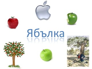Ябълка
 