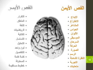 •
•
•
•
•
•
•
•
•
•
•
•
•
16
 