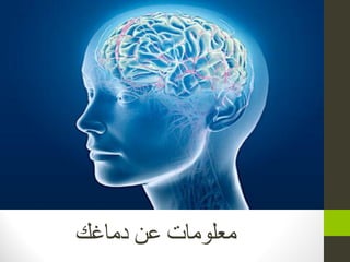 ‫دماغك‬ ‫عن‬ ‫معهوماث‬
 