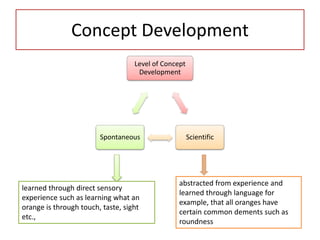 Concept Development
Level of Concept
Development
Scientific
Spontaneous
learned through direct sensory
experience such as learning what an
orange is through touch, taste, sight
etc.,
abstracted from experience and
learned through language for
example, that all oranges have
certain common dements such as
roundness
 