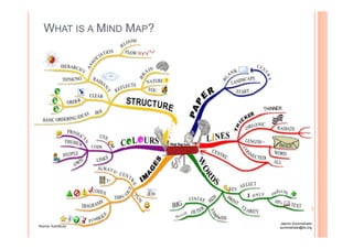 WHAT IS A MIND MAP?
Source: fuzz2buzz
Jasmin Suministrado
suministrado@ilo.org
 