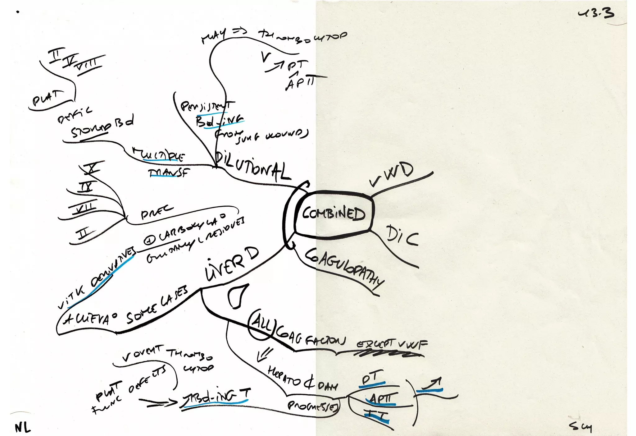 Mind Maps Pathology Hemorrhagic Disorders PDF Mind maps pathology hemorrhagic disorders pdf