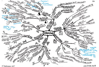 Mind maps pathology endocrine system