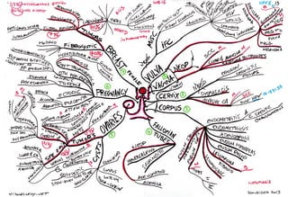 Mind maps pathology female reproductive system and breast