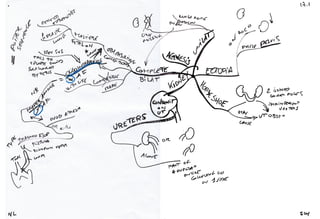 Mind maps pathology kidney and urinary tract