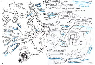 Mind maps pathology kidney and urinary tract