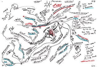 Mind maps pathology musculoskeletal
