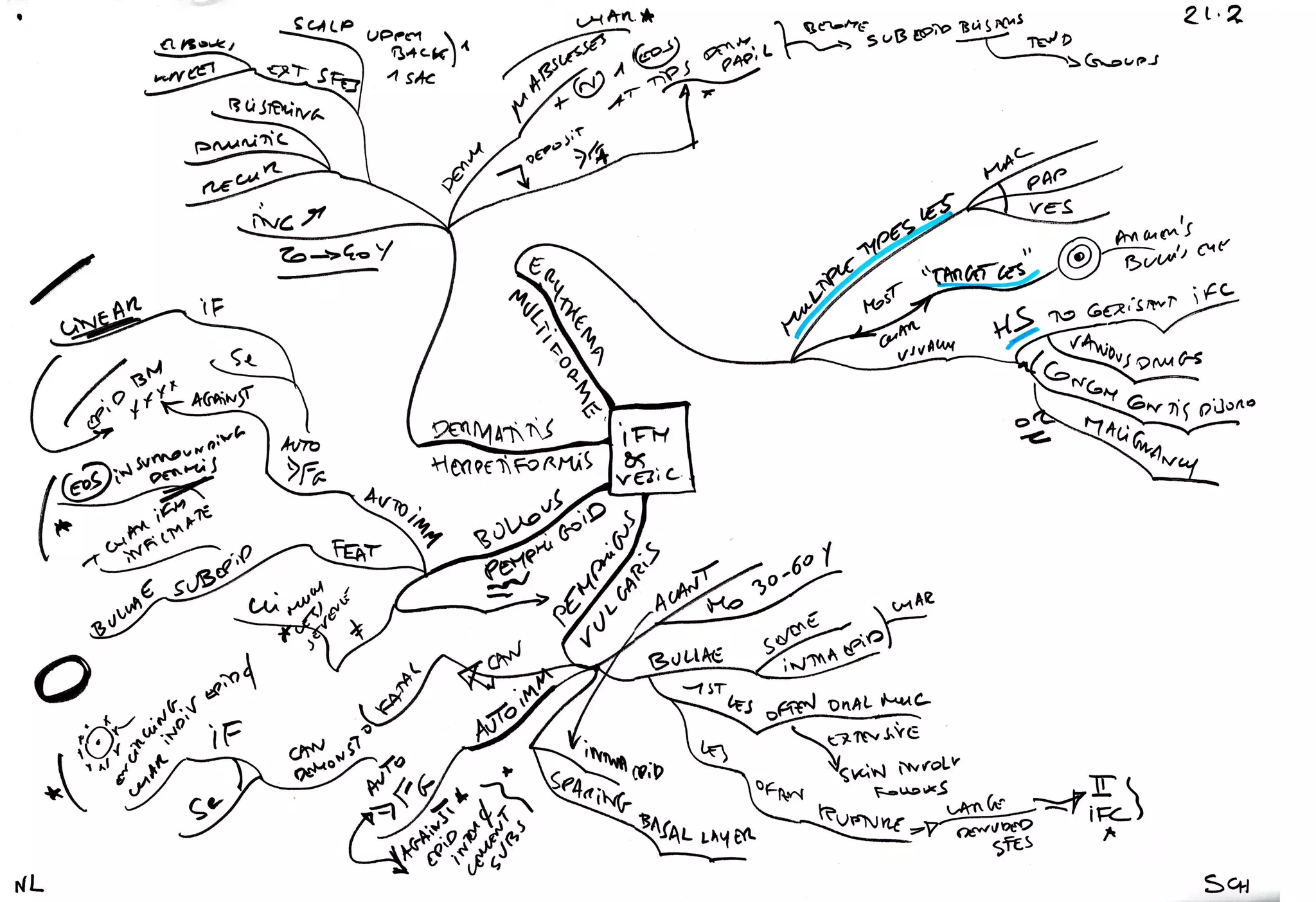 Mind maps pathology skin | PPT