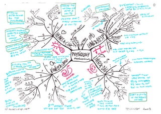 Mind maps physiology costanzo 2014 tellingen 2003