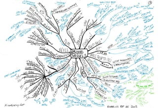 Mind maps robbins_basic_pathology_9e_2012