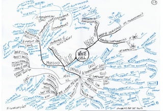 Mind maps robbins_basic_pathology_9e_2012