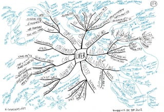 Mind maps robbins_basic_pathology_9e_2012