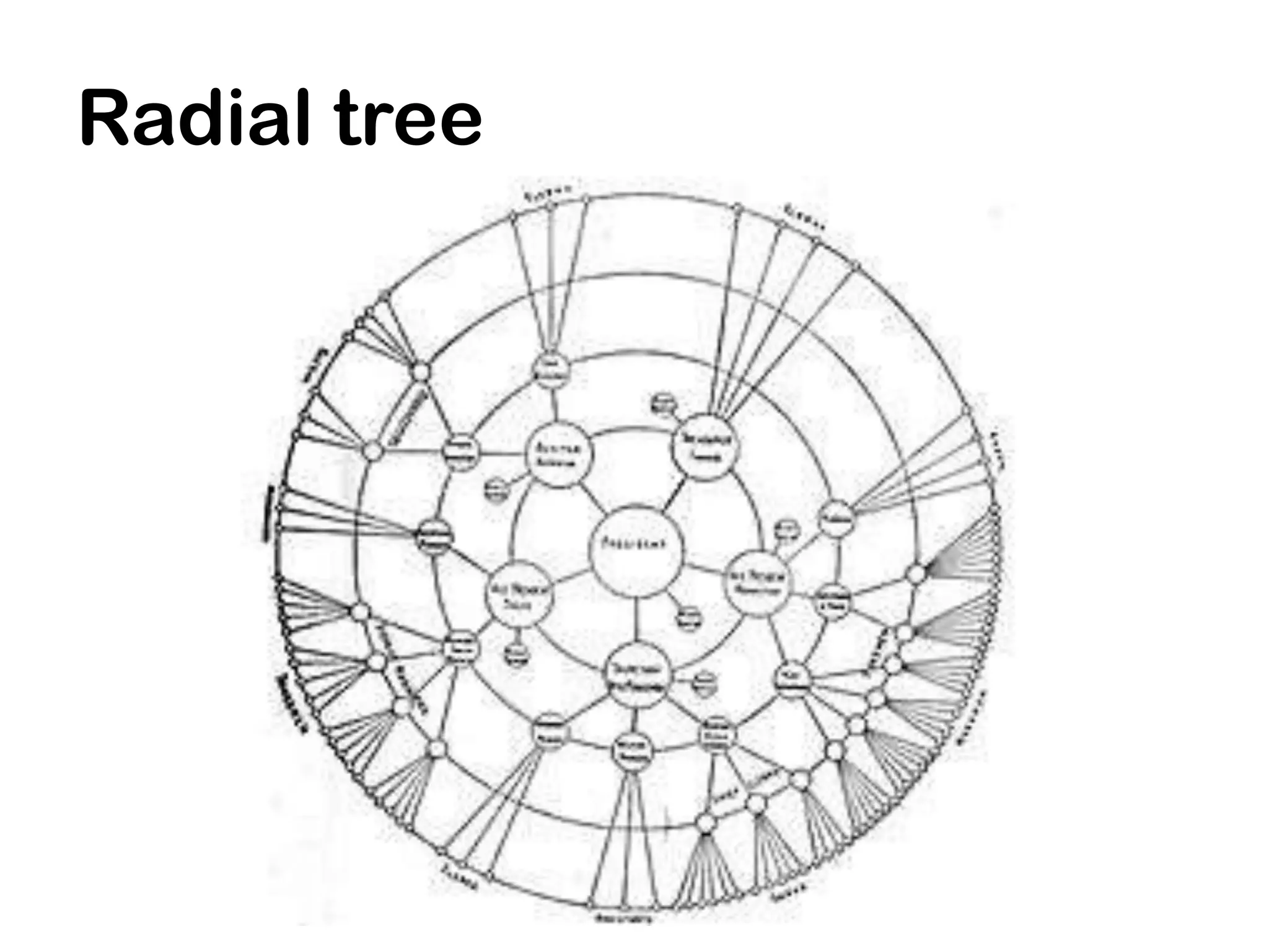 Radial tree
 