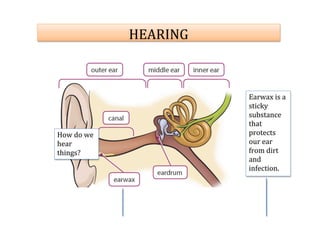  
	
  
	
  
	
  
	
  
	
  
	
  
	
  
	
  
	
  
	
  
	
  
	
  
	
  
	
  
	
   	
  
	
  
	
  
	
  
	
  
	
  
	
  
	
  
	
  
	
   	
  
	
  
	
  
	
  
HEARING	
  
	
  
Earwax	
  is	
  a	
  
sticky	
  
substance	
  
that	
  
protects	
  
our	
  ear	
  
from	
  dirt	
  
and	
  
infection.	
  
How	
  do	
  we	
  
hear	
  
things?	
  
HEARING	
  
 