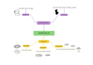 Mindmap unit 1. animals