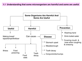 1.1 Understanding that some microorganism are harmful and some are useful
Some Organisms Are Harmful And
Some Are Useful
Useful Harmful
Can cause
Illness Food
poisoning
Food
stale
Tooth
decay
Making bread/
tapai/tempe/fertilizer
Prevention
Disease
Stomach upset
Measles/cough
Tooth decay
Conjunctivitis/mumps
Washing hand
Drink boiled water
Covering mouth &
nose when coughing
& sneezing
 