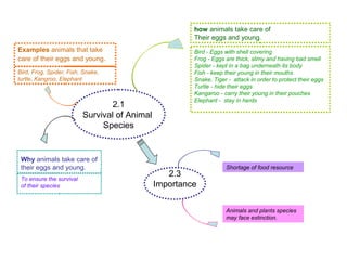 2.1
Survival of Animal
Species
Examples animals that take
care of their eggs and young.
how animals take care of
Their eggs and young.
Why animals take care of
their eggs and young.
Bird - Eggs with shell covering
Frog - Eggs are thick, slimy and having bad smell
Spider - kept in a bag underneath its body
Fish - keep their young in their mouths
Snake, Tiger - attack in order to protect their eggs
Turtle - hide their eggs
Kangaroo - carry their young in their pouches
Elephant - stay in herds
2.3
Importance
Shortage of food resource
Animals and plants species
may face extinction.
Bird, Frog, Spider, Fish, Snake,
turtle, Kangroo, Elephant
To ensure the survival
of their species
 