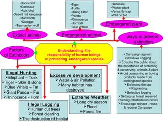 1.3
Understanding the
responsibility of human beings
in protecting endangered species
Extinct animal Endangered animal
Endangered plant
Factors
of Extinction
ways to prevent
extinction
•Dodo bird
•Dinosaur
•Auk bird
•Desert rat kangaroo
•Mammoth
•Quagga
•Tasmanian wolf
•Tiger
•Turtle
•Orang Utan
•Panda
•Rhinoceros
•Hornbill
•Blue Whale
•Raflessia
•Pitcher plant
•Venus fly trap
•Wild orchid
Illegal Hunting
Elephant – Tusk
Tiger – Skin & Bone
Blue Whale – Fat
Giant Panda – Fur
Rhinoceros - Horn
Illegal Logging
Human cut trees
Forest clearing
The destruction of habitat
Excessive development
Water & air Pollution
Many habitat has
destroyed
Extreme Weather
Long dry season
Flood
Forest fire
Campaign against
excessive Logging
Educate the public about
the importance of protecting
& conserving animals & plant
Avoid consuming or buying
products made from
endangered species
Enforcing the law
Replanting
Selective logging
Setting up forest reserved
Setting rehabilitation centre
Encourage recycle , reuse
& reduce Campaign
 