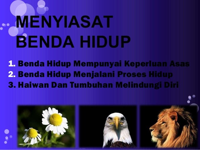 Contoh Folio Sejarah Tahun 5 - Wonder Traveling