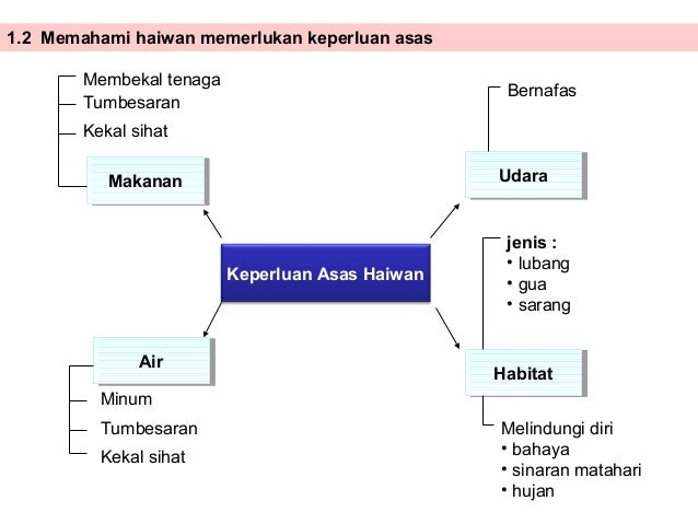 Peta Minda Haiwan Berkomunikasi Haiwancua