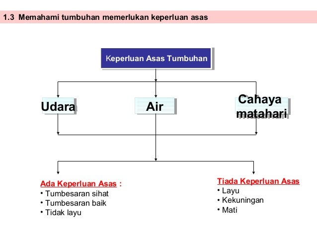 Carta minda upsr latest 2014 t hn 4 yr 5 yr 6