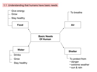Basic Needs  Of Human Food Shelter Air Water To breathe To protect from danger extreme weather sun & rain Give energy Grow Stay healthy Drinks Grow Stay healthy 1.1  Understanding that humans have basic needs 