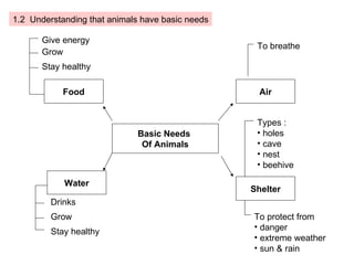 Basic Needs  Of Animals Food Shelter Air Water To breathe To protect from danger extreme weather sun & rain Give energy Grow Stay healthy Drinks Grow Stay healthy 1.2  Understanding that animals have basic needs Types : holes cave nest beehive 