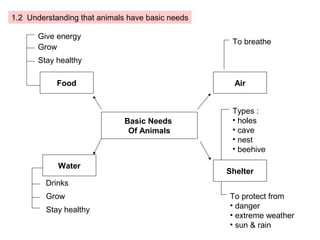 1.2 Understanding that animals have basic needs

       Give energy
                                                   To breathe
       Grow
       Stay healthy

            Food                                    Air


                                                   Types :
                              Basic Needs          • holes
                               Of Animals          • cave
                                                   • nest
                                                   • beehive

            Water
                                                  Shelter
         Drinks
         Grow                                     To protect from
                                                  • danger
         Stay healthy
                                                  • extreme weather
                                                  • sun & rain
 