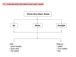 1.3 Understanding that plants have basic needs




                           Plants Have Basic Needs




           Air                      Water             Sunlight




       With :                                        Without :
       • grow healthy                                • wilted
       • grow well                                   • Turn yellow
       • not wilted                                  • Die
 