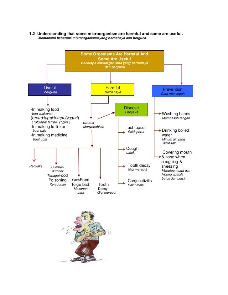 Mindmapyear456 111201104639-phpapp02