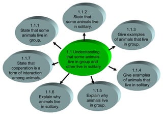 1.1.2
                                    State that
                                 some animals live
           1.1.1                    in solitary.
      State that some                                               1.1.3
       animals live in                                        Give examples
           group.                                           of animals that live
                                                                  in group.
                                 1.1 Understanding
       1.1.7                     that some animals
     State that                   live in group and
  cooperation is a               other live in solitary
                                                                       1.1.4
form of interaction
                                                                 Give examples
  among animals.
                                                                 of animals that
                                                                  live in solitary
                     1.1.6                      1.1.5
                 Explain why                 Explain why
                 animals live                animals live
                  in solitary.                in group.
 