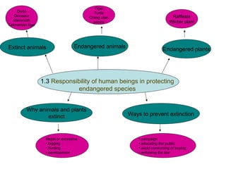 Tiger
    Dodo                                    Turtle
   Dinosaur                               Orang utan                            Rafflesia
  Mammoth                                   panda                             Pitcher plant
Tasmanian tiger




Extinct animals                     Endangered animals                    Endangered plants




                  1.3 Responsibility of human beings in protecting
                              endangered species


          Why animals and plants
                 extinct                                 Ways to prevent extinction



                   Illegal or excessive                      •.campaign
                   •.logging                                 •.educating the public
                   •.hunting                                 •.avoid consuming or buying
                   •.development                             •.enforsing the law
 