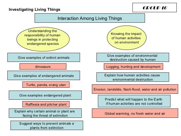 mind map year 6 5 638