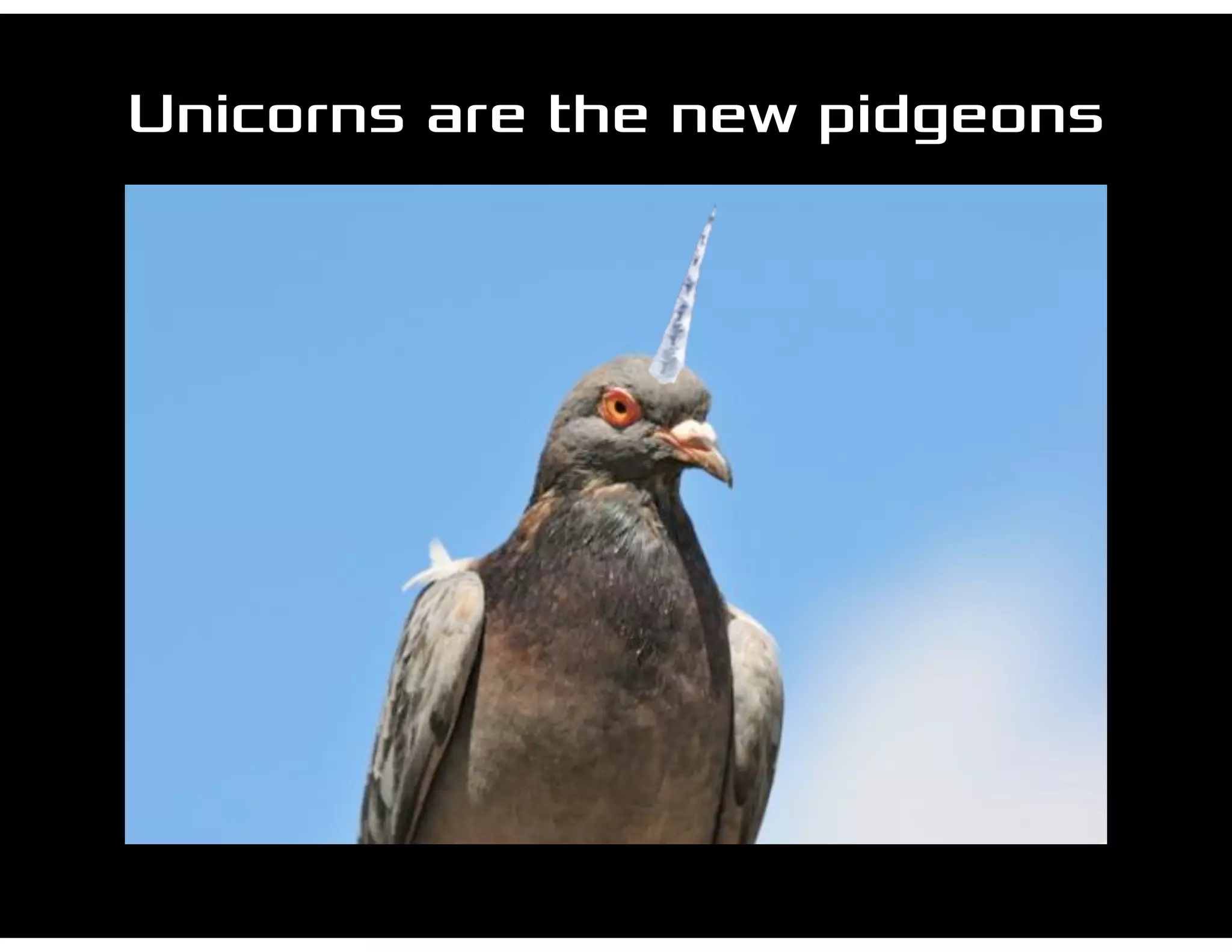 Unicorns are the new pidgeons
 