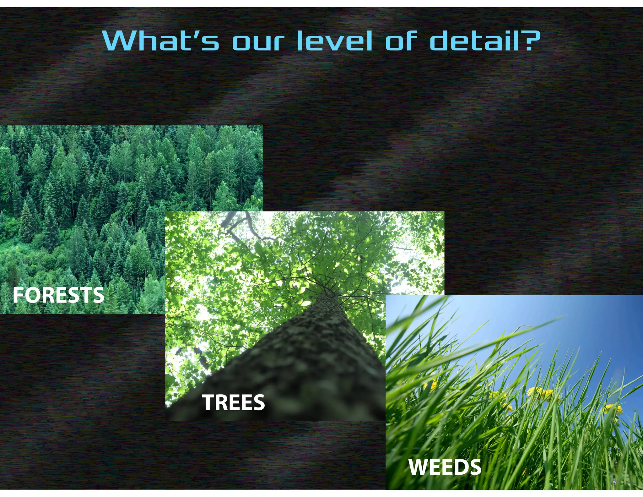 What’s our level of detail?
FORESTS
TREES
WEEDS
 