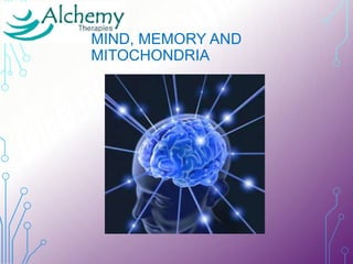 MIND, MEMORY AND
MITOCHONDRIA
 