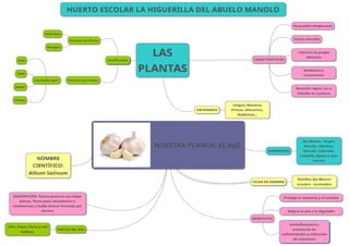 Mapa Conceptual