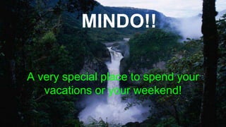 MINDO!!
A very special place to spend your
vacations or your weekend!
 