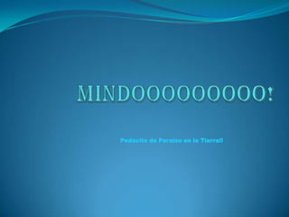 Mindooooooooo! Pedacito de Paraíso en la Tierra!! 