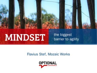 MINDSET the biggest
barrier to agility
Flavius Stef, Mozaic Works
 