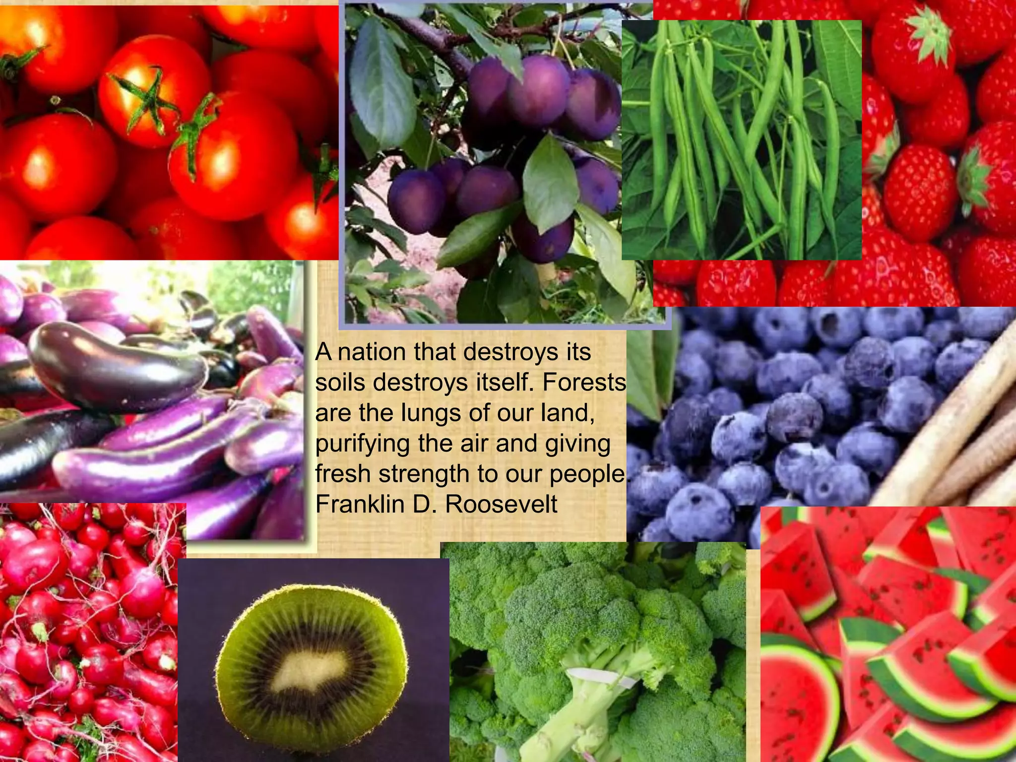 A nation that destroys its
soils destroys itself. Forests
are the lungs of our land,
purifying the air and giving
fresh strength to our people.
Franklin D. Roosevelt
 