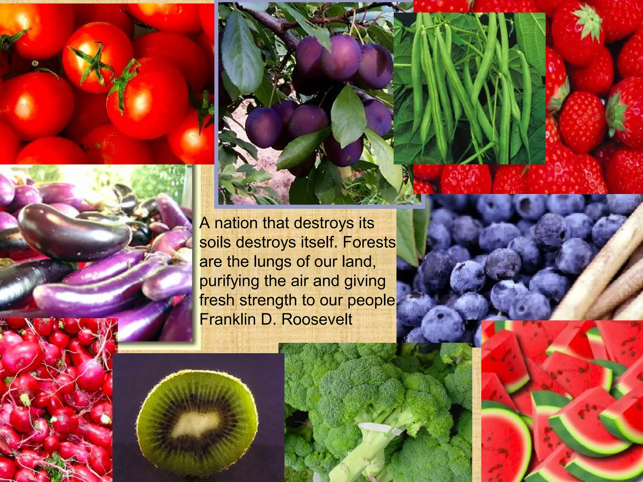 A nation that destroys its
soils destroys itself. Forests
are the lungs of our land,
purifying the air and giving
fresh strength to our people.
Franklin D. Roosevelt
 