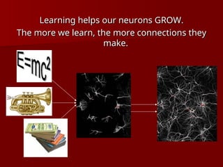 Learning helps our neurons GROW.
Learning helps our neurons GROW.
The more we learn, the more connections they
The more we learn, the more connections they
make.
make.
 